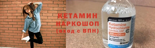 прущие грибы Аркадак