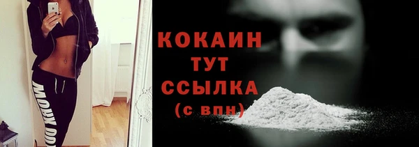 прущие грибы Аркадак