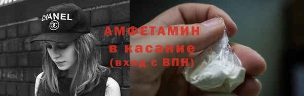 прущие грибы Аркадак
