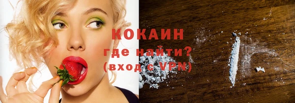 прущие грибы Аркадак