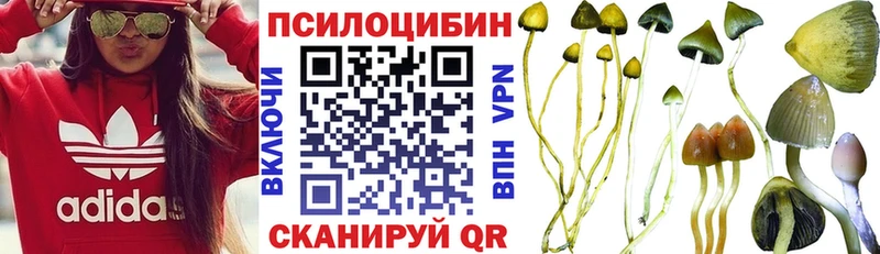 Галлюциногенные грибы Cubensis  Ульяновск 