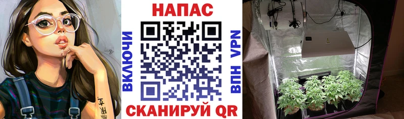 Каннабис THC 21%  Ульяновск 